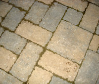 Pavers vs Stamped Concrete