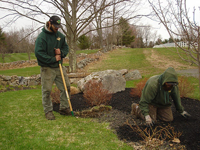 Landscape Maintenance